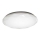 Светодиодный потолочный светильник IRIDIO 1xLED/24W/230V