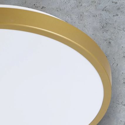 Светодиодный потолочный светильник KERN LED/15W/230V ⌀ 29 см