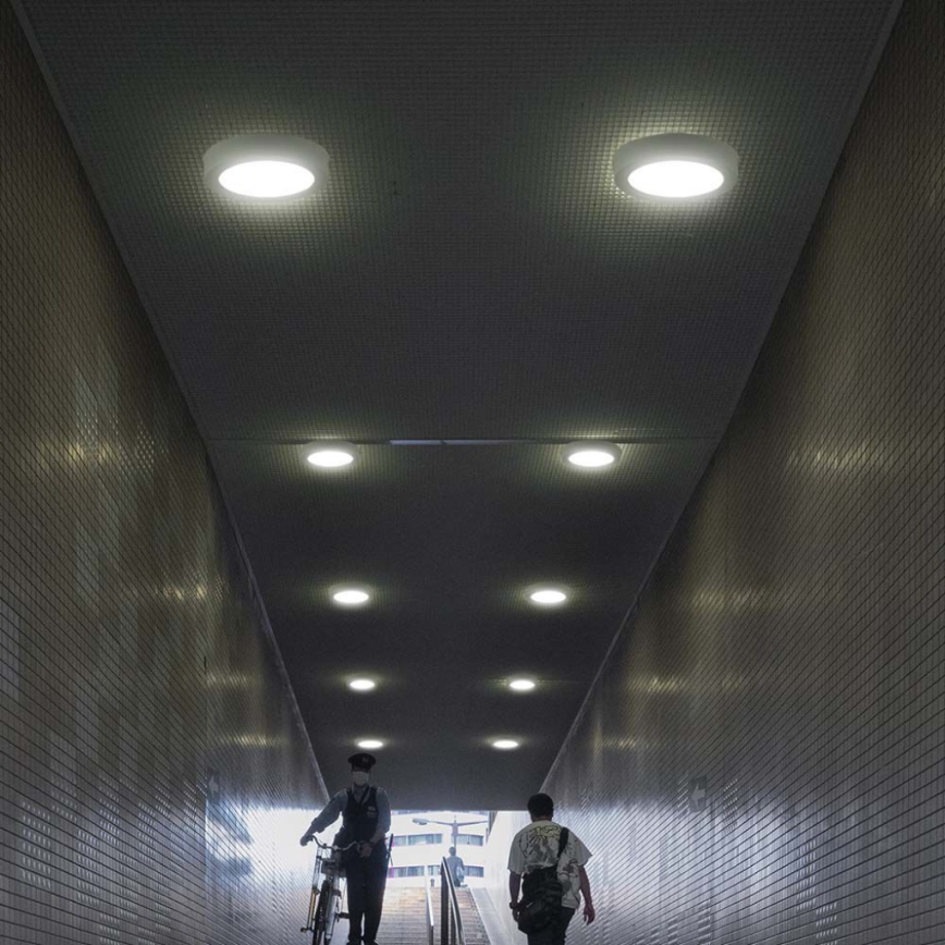 Светодиодный потолочный светильник LED/12W/230V 3000K диаметр 16,7 см белый