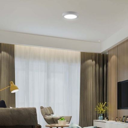 Светодиодный потолочный светильник LED/18W/230V 6500K диаметр 21,6 см
