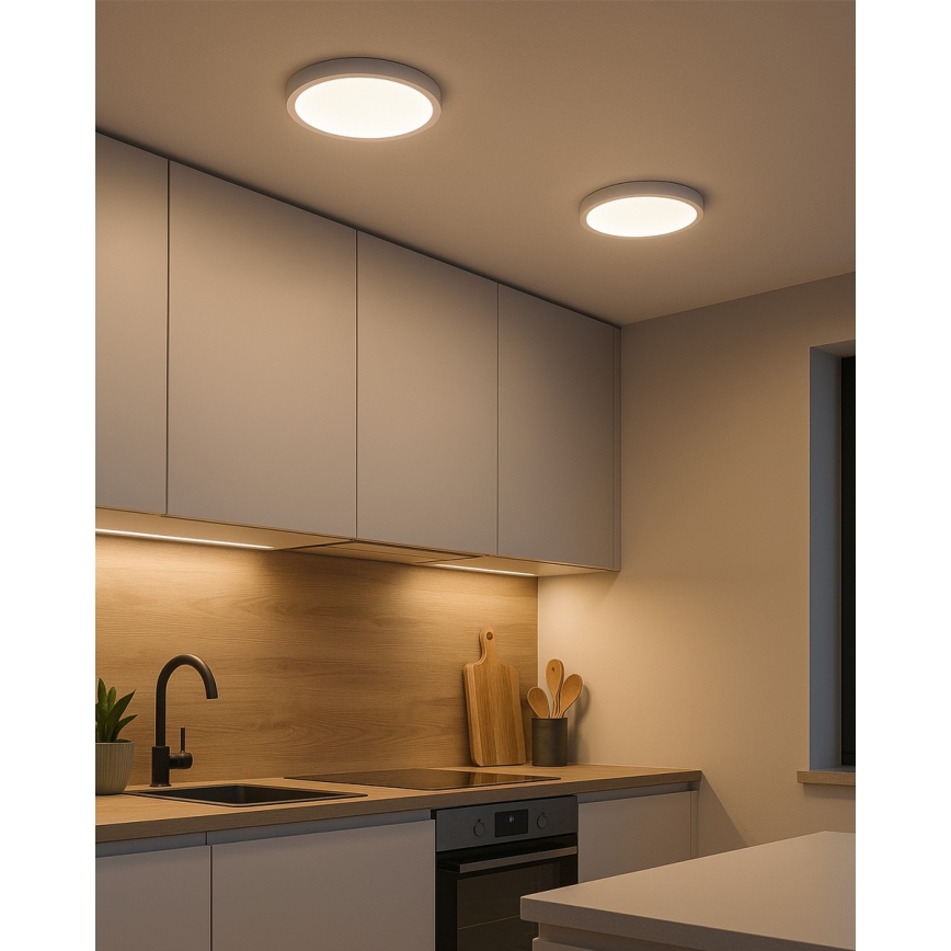 Светодиодный потолочный светильник LED/24W/230V 4200K диаметр 28,5 см белый
