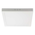 Светодиодный потолочный светильник LED/24W/230V 6500K 28,7x28,7 см белый