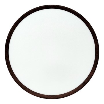 Светодиодный потолочный светильник LED/32 Вт/230 В 3000/4000/6500K, диаметр 40 см, коричневый