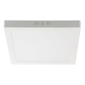 Светодиодный потолочный светильник LED/6W/230V 6500K 12x12 см белый