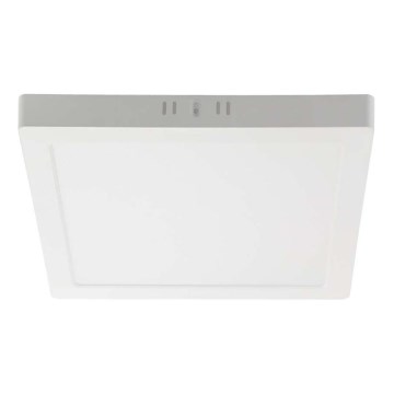 Светодиодный потолочный светильник LED/6W/230V 6500K 12x12 см белый