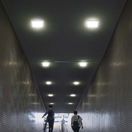 Светодиодный потолочный светильник LED/6W/230V 6500K 12x12 см белый