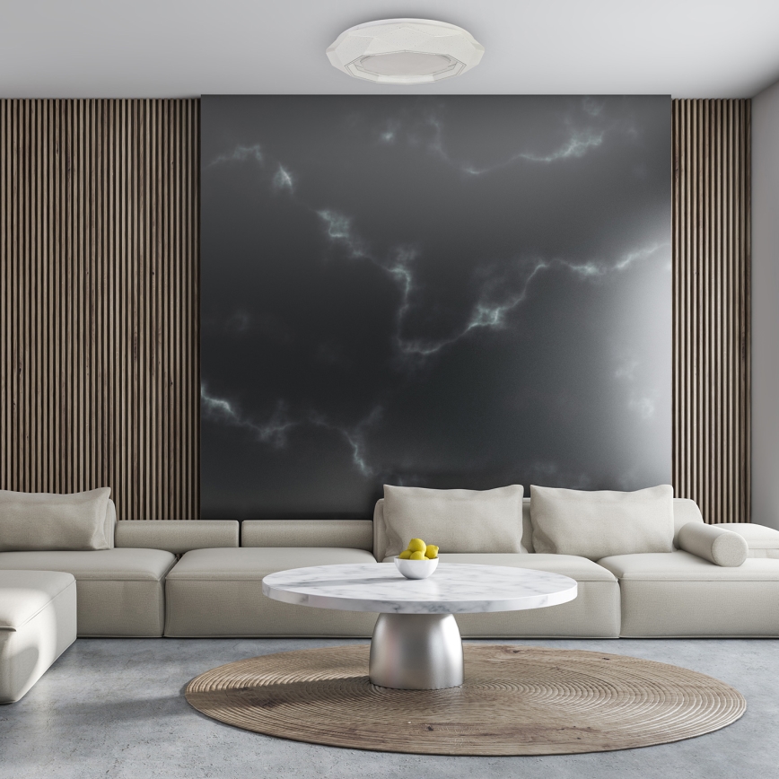 Светодиодный потолочный светильник LULU LED/40W/230V