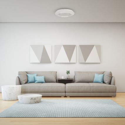 Светодиодный потолочный светильник LULU LED/40W/230V