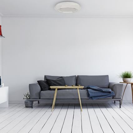 Светодиодный потолочный светильник LULU LED/40W/230V