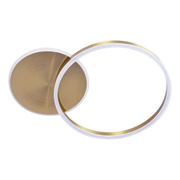 Светодиодный потолочный светильник ROMAN LED/33W/230V 4000K золотистый