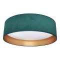 Светодиодный потолочный светильник RONDO LED/18W/230V зеленый