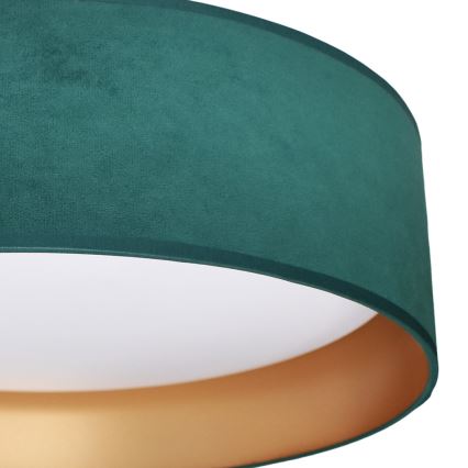 Светодиодный потолочный светильник RONDO LED/18W/230V зеленый