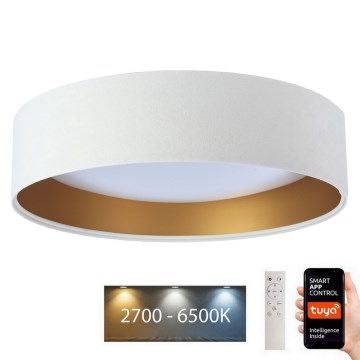 Светодиодный потолочный светильник с регулированием яркости SMART GALAXY LED/36W/230V диаметр 55 см 2700-6500K Wi-Fi Tuya белый/золотистый + дистанционное управление