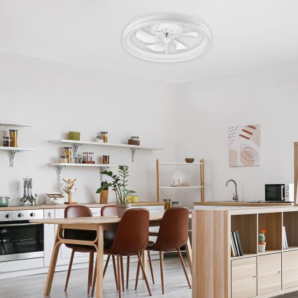 Светодиодный потолочный светильник с вентилятором и регулированием яркости FARGO LED/37W/230V белый + дистанционное управление