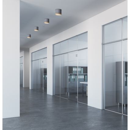 Светодиодный потолочный светильник TUBA LED/9W/230V