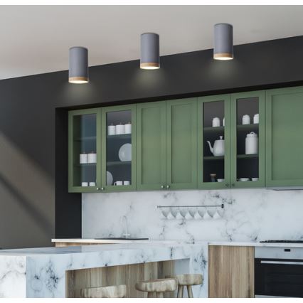 Светодиодный потолочный светильник TUBA LED/9W/230V