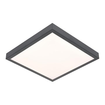 Светодиодный потолочный светильник VITALI LED/24W/230V