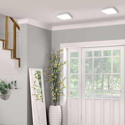 Светодиодный потолочный светильник AJAX LED/10W/230V