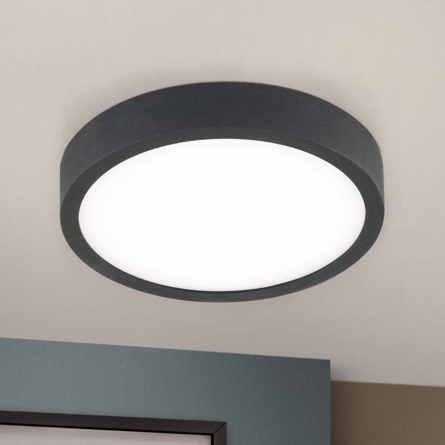 Светодиодный потолочный светильник BULLY LED/12W/230V диаметр 14 см черный