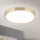Светодиодный потолочный светильник BULLY LED/28W/230V диаметр 28 см золотистый