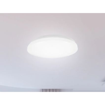Светодиодный потолочный светильник для ванной OPAL LED/12W/230V, диаметр 24,5 см, IP44, белый