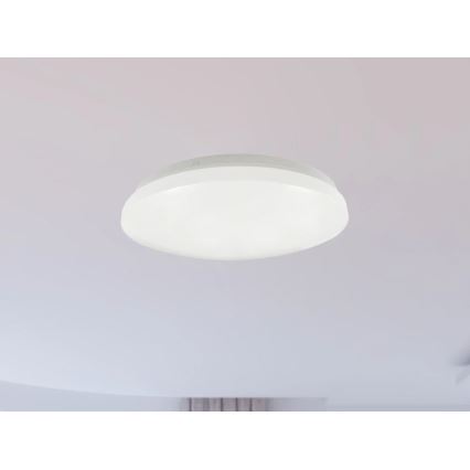 Светодиодный потолочный светильник для ванной OPAL LED/12W/230V, диаметр 24,5 см, IP44, белый