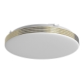 Светодиодный потолочный светильник для ванной комнаты BEVER LED/10W/230V 4000K диаметр 26 см IP44
