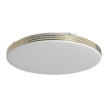 Светодиодный потолочный светильник для ванной комнаты BEVER LED/16W/230V 4000K диаметр 33 см IP44