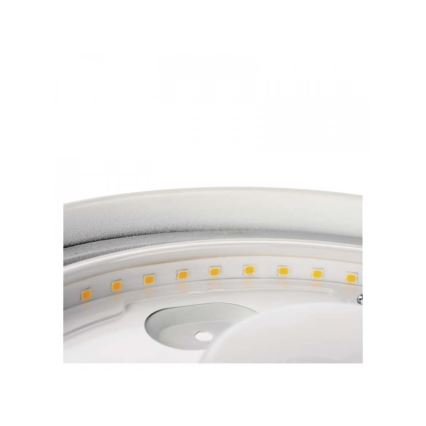 Светодиодный потолочный светильник для ванной комнаты LED/18W/230V IP44