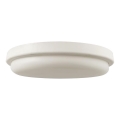 Светодиодный потолочный светильник для ванной комнаты LED/24W/230V 6500K IP54 диаметр 24 см