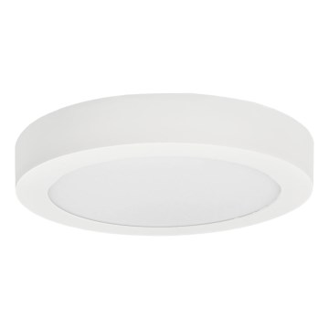 Светодиодный потолочный светильник FENIX LED/12W/230V 2900/3900/5800K диаметр 16,8 см белый