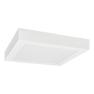 Светодиодный потолочный светильник FENIX LED/24W/230V 3800K 29,8 см белоснежный