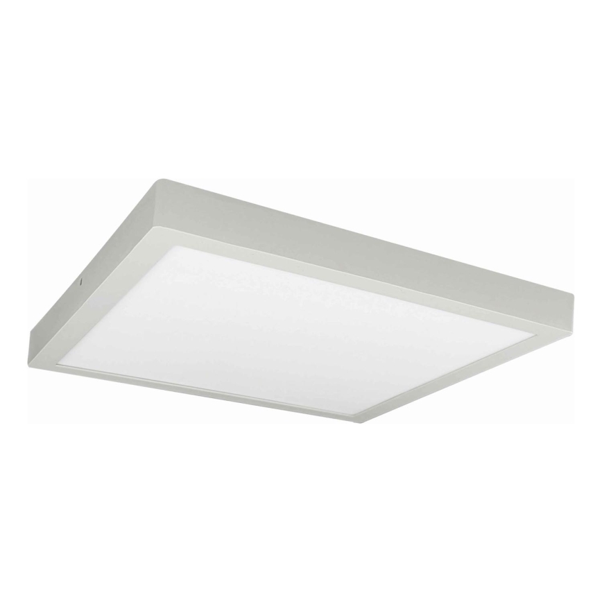 Светодиодный потолочный светильник FENIX LED/32W/230V 3800K 40 см белый