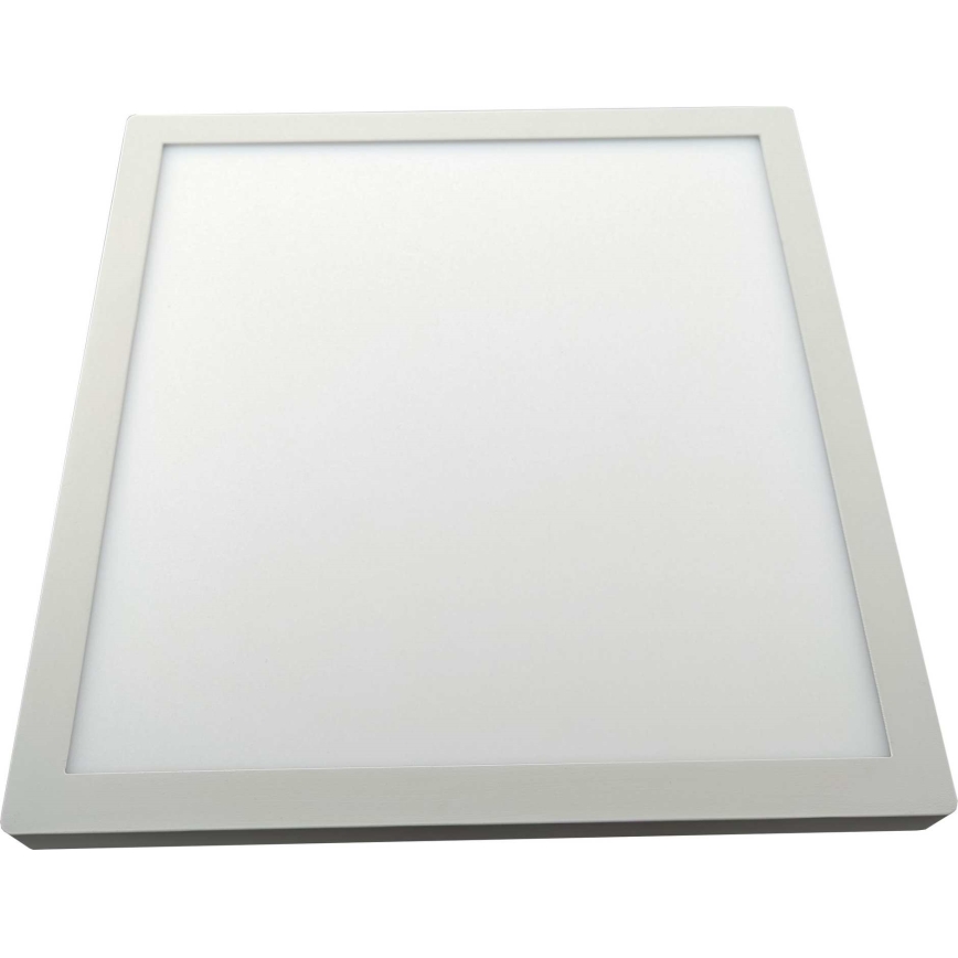 Светодиодный потолочный светильник FENIX LED/32W/230V 3800K 40 см белый