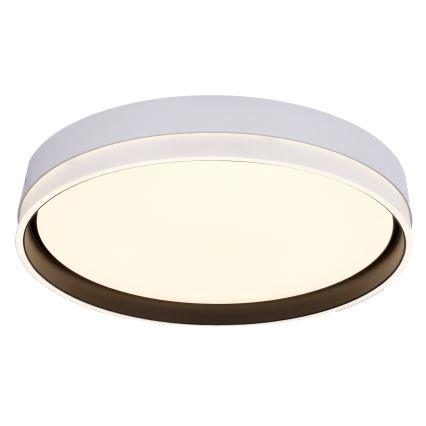 Светодиодный потолочный светильник FLORIDA LED/24W/230V белый