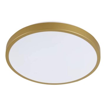 Светодиодный потолочный светильник KERN LED/15W/230V ⌀ 29 см
