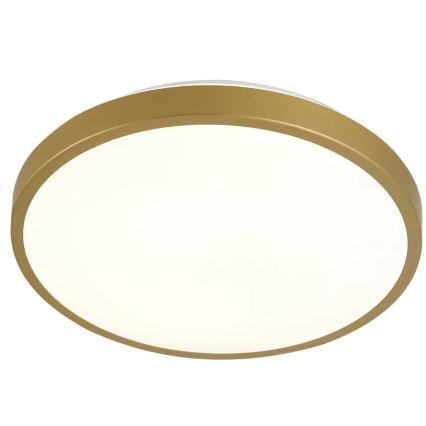 Светодиодный потолочный светильник KERN LED/15W/230V ⌀ 29 см