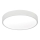 Светодиодный потолочный светильник LED/16W/230V