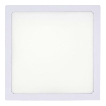 Светодиодный потолочный светильник LED/18W/230V 2700K 21x21 см белый