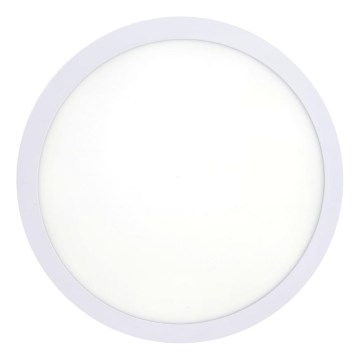 Светодиодный потолочный светильник LED/18W/230V 4200K диаметр 21 см белый