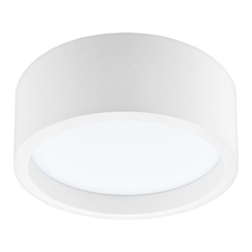 Светодиодный потолочный светильник LED/21W/230V сосна