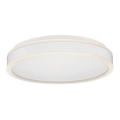 Светодиодный потолочный светильник LED/24W/230V 4000K белый