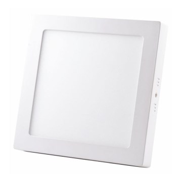 Светодиодный потолочный светильник LED/24W/230V 4000K