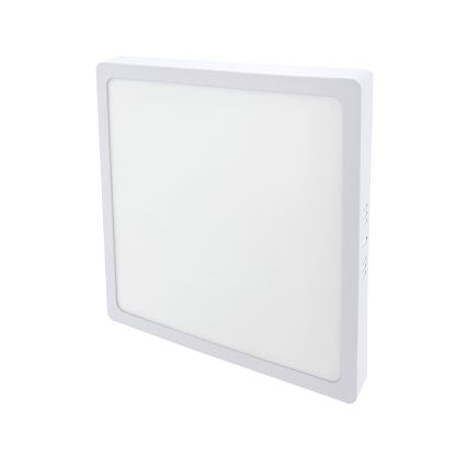 Светодиодный потолочный светильник LED/24W/230V 4200K 28x28 см белый