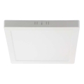 Светодиодный потолочный светильник LED/6W/230V 4000K 12x12 см белый