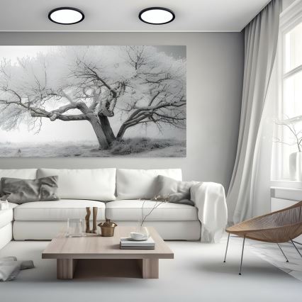 Светодиодный потолочный светильник MAQ LED/24W/230V 3000/4000/6500K IP40 черный