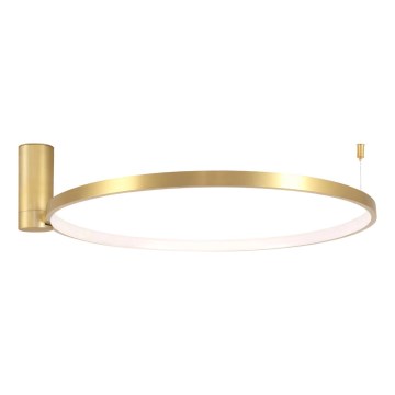 Светодиодный потолочный светильник NOEMI LED/20W/230V 4000K диаметр 50 см золотистый