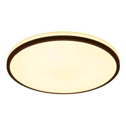 Светодиодный потолочный светильник с регулированием яркости OPAL LED/48W/230V 3000-6500K + дистанционное управление