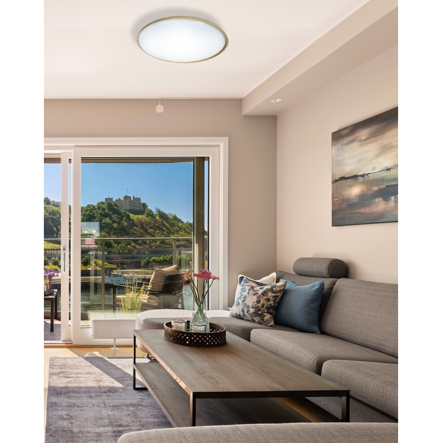 Светодиодный потолочный светильник с регулированием яркости DRINA LED/36W/230V 2700-6500K диаметр 50 см + дистанционное управление