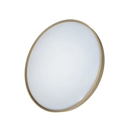 Светодиодный потолочный светильник с регулированием яркости DRINA LED/36W/230V 2700-6500K диаметр 50 см + дистанционное управление